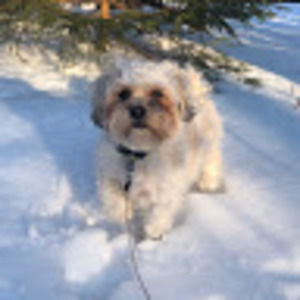 Meet your Posher, Elena